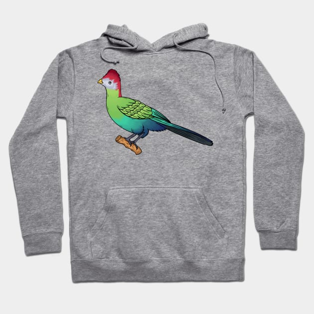 Red-crested turaco bird cartoon illustration Hoodie by Cartoons of fun